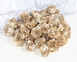 1" Almond - 50 Pack 17 1" Almond - 50 Pack -Flowers Sales 2024 1 almond 50 pack 355833