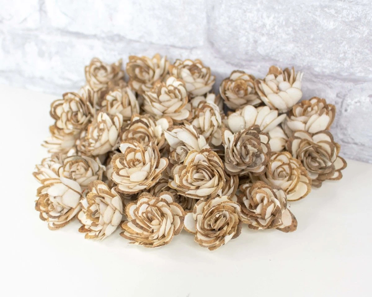 1" Almond - 50 Pack 9 1" Almond - 50 Pack - Image 7