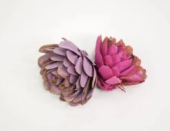 1" Almond - 50 Pack 21 1" Almond - 50 Pack -Flowers Sales 2024 1 almond 50 pack 725687