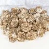 1" Almond - 50 Pack -Flowers Sales 2024 1 almond 50 pack 782803