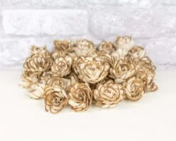 1" Almond - 50 Pack 16 1" Almond - 50 Pack -Flowers Sales 2024 1 almond 50 pack 938933