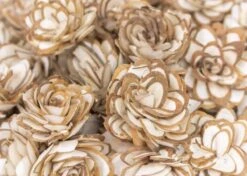 Gazebo Parts Direct Sales Store -Flowers Sales 2024 15 almond 50 pack 395857