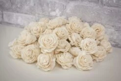 1.5" Aurora - 50 Pack