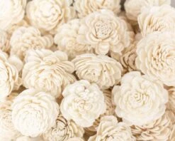 1.5" Bali - 50 Pack -Flowers Sales 2024 15 bali 50 pack 702501