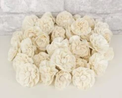 1.5" Beatrice - 50 Pack