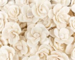 Gazebo Parts Direct Sales Store -Flowers Sales 2024 15 betty the beautiful 50 pack 276531