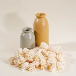 Gazebo Parts Direct Sales Store -Flowers Sales 2024 15 carnation 50 pack 998575