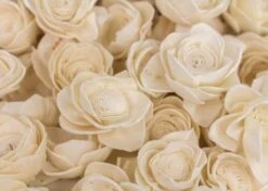 Gazebo Parts Direct Sales Store -Flowers Sales 2024 15 lotus 50 pack 365015