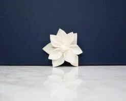 Gazebo Parts Direct Sales Store -Flowers Sales 2024 15 scarlet 10 pack 471016