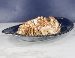 2" Almond (500 Pack) -Flowers Sales 2024 2 almond 500 pack 118229