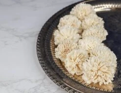 2" Carnation (10 Pack) -Flowers Sales 2024 2 carnation 10 pack 366500