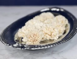 2" Carnation (10 Pack) -Flowers Sales 2024 2 carnation 10 pack 600987