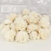 2" Carnation - 50 Pack -Flowers Sales 2024 2 carnation 50 pack 157296