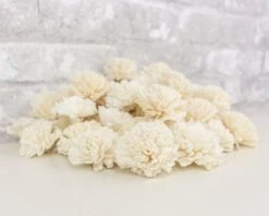 2" Carnation - 50 Pack -Flowers Sales 2024 2 carnation 50 pack 780021