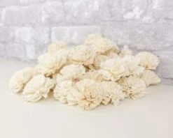 2" Carnation - 50 Pack -Flowers Sales 2024 2 carnation 50 pack 963135