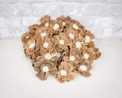 2" Coco - 50 Pack -Flowers Sales 2024 2 coco 50 pack 241679