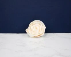 2" Dear Holly (10 Pack) -Flowers Sales 2024 2 dear holly 10 pack 175286