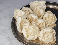 2" Fresia (10 Pack) -Flowers Sales 2024 2 fresia 10 pack 866573