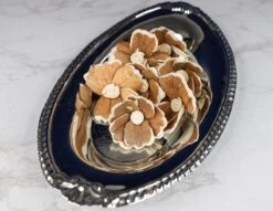 2" Hana (10 Pack) -Flowers Sales 2024 2 hana 10 pack 836462 1102d4f2 0ee0 4bb2 8daa e3ea06f207d6