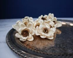 2" Harriet (10 Pack)