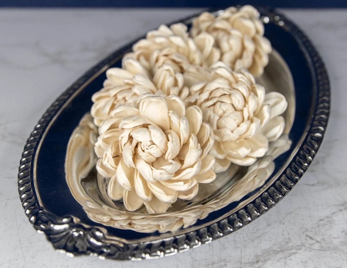 2" Lillian (10 Pack) 5 2" Lillian (10 Pack) - Image 3