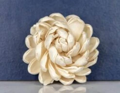 2" Lillian (10 Pack) 7 2" Lillian (10 Pack) -Flowers Sales 2024 2 lillian 10 pack 609049