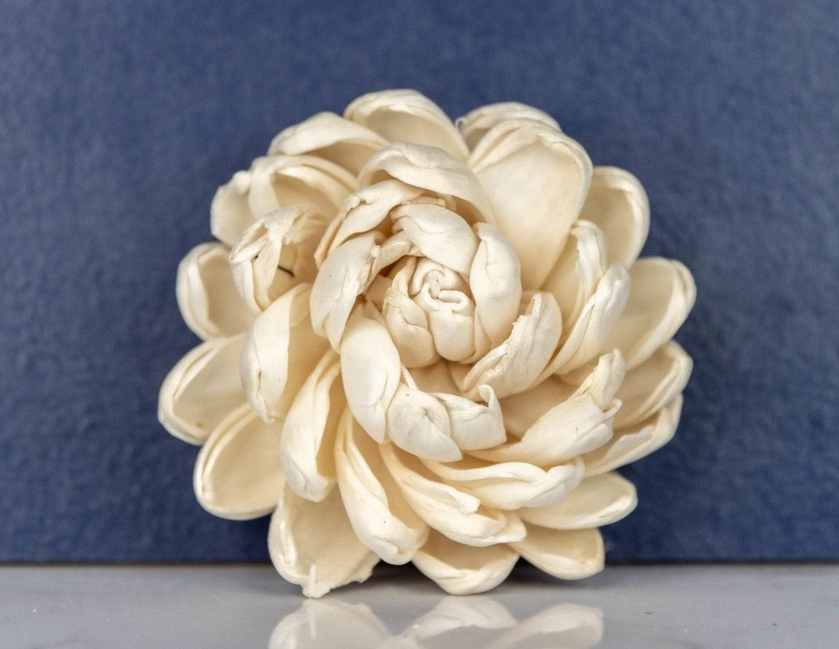 2" Lillian (10 Pack) 4 2" Lillian (10 Pack) - Image 2