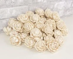 2" Lillian - 50 Pack 12 2" Lillian - 50 Pack -Flowers Sales 2024 2 lillian 50 pack 104549