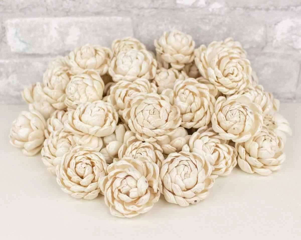 2" Lillian - 50 Pack 10 2" Lillian - 50 Pack - Image 8