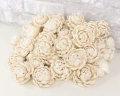 2" Lillian - 50 Pack