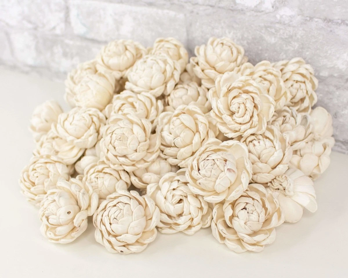 2" Lillian - 50 Pack 3 2" Lillian - 50 Pack