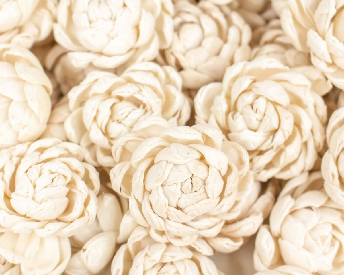 2" Lillian - 50 Pack 4 2" Lillian - 50 Pack - Image 2