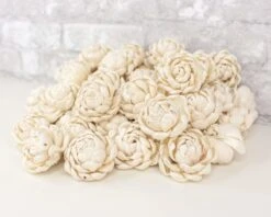 2" Lillian - 50 Pack 13 2" Lillian - 50 Pack -Flowers Sales 2024 2 lillian 50 pack 825281