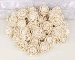 2" Lillian - 50 Pack 16 2" Lillian - 50 Pack -Flowers Sales 2024 2 lillian 50 pack 855127