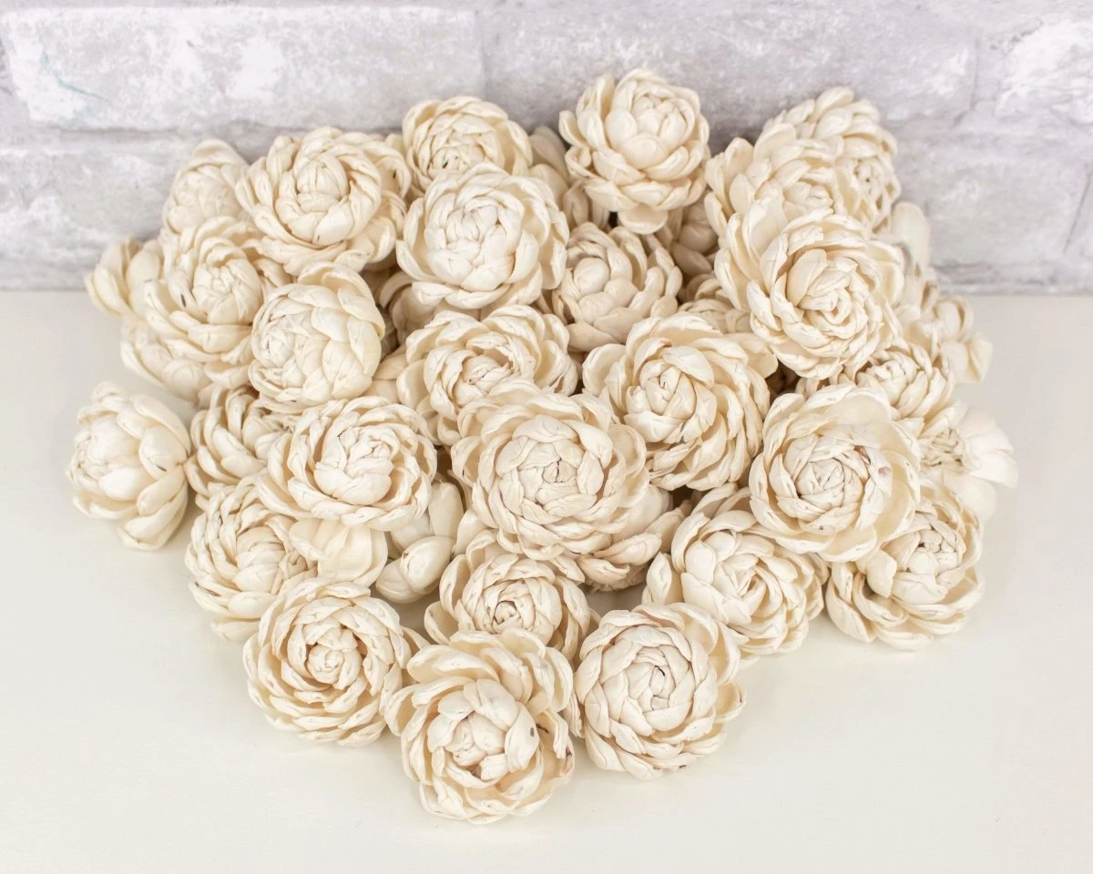 2" Lillian - 50 Pack 9 2" Lillian - 50 Pack - Image 7