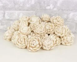 2" Lillian - 50 Pack 14 2" Lillian - 50 Pack -Flowers Sales 2024 2 lillian 50 pack 885213