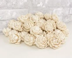 2" Lillian - 50 Pack 15 2" Lillian - 50 Pack -Flowers Sales 2024 2 lillian 50 pack 947333