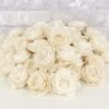 2" Lotus - 50 Pack -Flowers Sales 2024 2 lotus 50 pack 623046