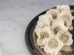 2" Misty (10 Pack) -Flowers Sales 2024 2 misty 10 pack 640957