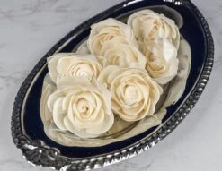 2" Poise (10 Pack) 8 2" Poise (10 Pack) -Flowers Sales 2024 2 poise 10 pack 677238