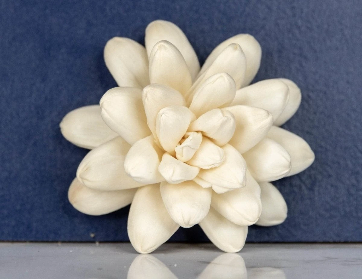 2" Rosette (10 Pack) 4 2" Rosette (10 Pack) - Image 2