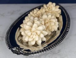 2" Rosette (10 Pack) 8 2" Rosette (10 Pack) -Flowers Sales 2024 2 rosette 10 pack 987046