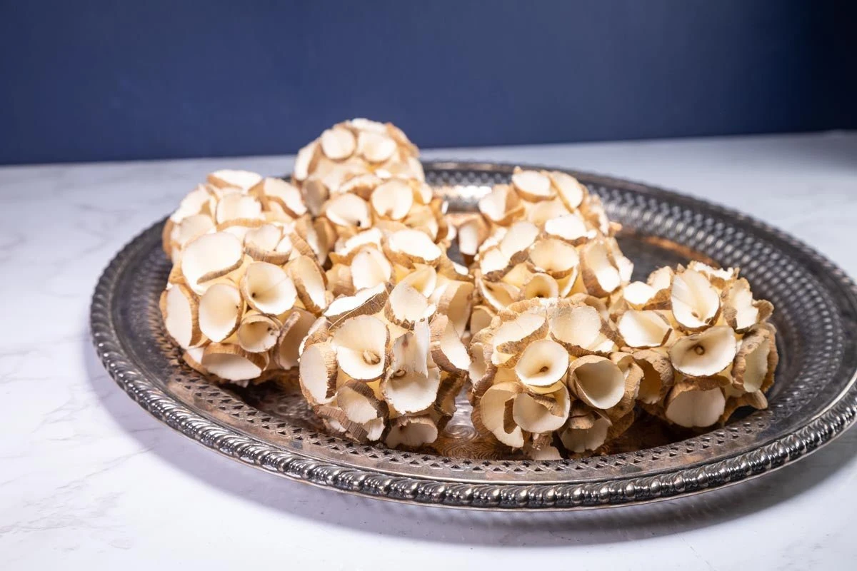 2" Scabiosa Pods (10 Pack) 3 2" Scabiosa Pods (10 Pack)