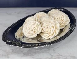 2" Shasta (10 Pack) -Flowers Sales 2024 2 shasta 10 pack 909394