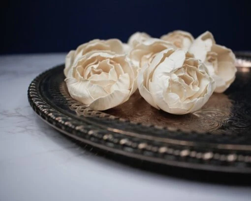 2" Sorbet Peony (10 Pack) -Flowers Sales 2024 2 sorbet peony 10 pack 168586