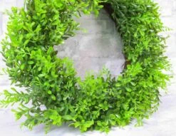 20" Boxwood Wreath -Flowers Sales 2024 20 boxwood wreath 232641
