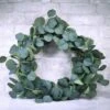 20" Eucalyptus Wreath 1 20" Eucalyptus Wreath -Flowers Sales 2024 20 eucalyptus wreath 902470
