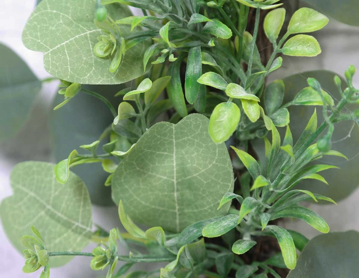 20" Mixed Eucalyptus Wreath 4 20" Mixed Eucalyptus Wreath - Image 2