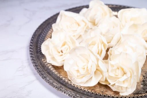 3" Aimee Gardenia (10 Pack) -Flowers Sales 2024 3 aimee gardenia 10 pack 853942