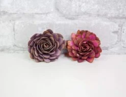 3" Almond - 50 Pack -Flowers Sales 2024 3 almond 50 pack 419309